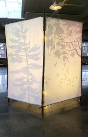 Spirit of the Forest - Installation, Toronto