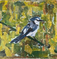 In the Woodland Realm - Blue Jay