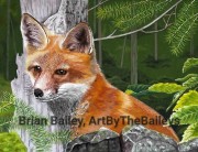 Fox in the Woods