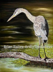 Great Blue Heron