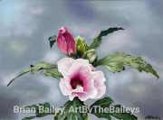Rose of Sharon