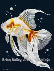 White Fantailed Goldfish