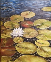 Water Lily 2