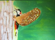Woodpecker