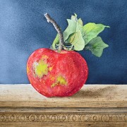 The Mischievous Apple