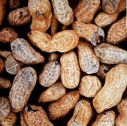 Plenty of Peanuts