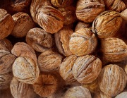 Wall to Wall Walnuts
