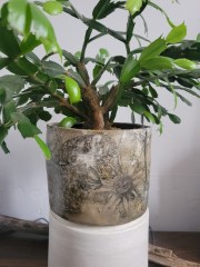 Eco-printed decorative pot