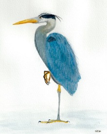 Heron