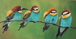 Bee Eaters