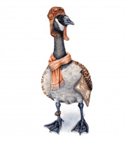 Aviator Goose