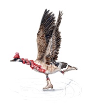 Figure Skating Goose