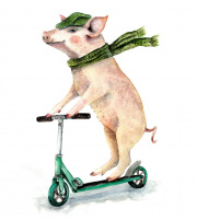 Piggy on a Scooter