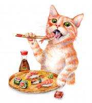 Sushi Cat