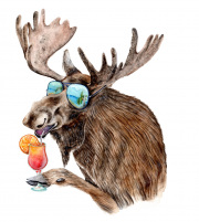 Vacation Moose