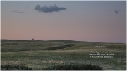 Companions 'Grassland'