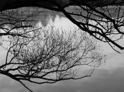 Black and White Reflection