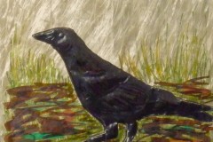 Crow