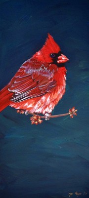 Cardinal No.3