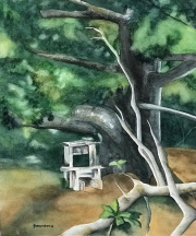 Grimper dans les arbres