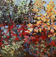 Blakeney Rapids Trail