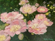 Peonies