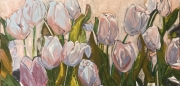 Pink Tulips