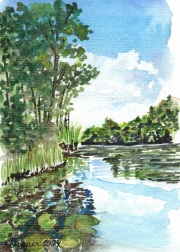 Back Corner of Banner