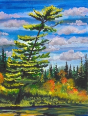 Moose Sighting Whitefish Lake