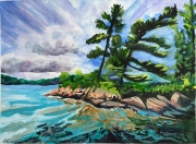 White Pines on Big Gull Lake