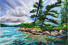 White Pines on Big Gull Lake