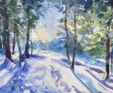 Winter Woods