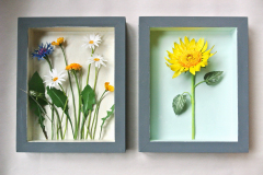 Sunflower and Wildflower Meadow