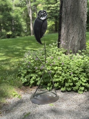Owl Garden