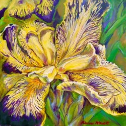 I Love Irises