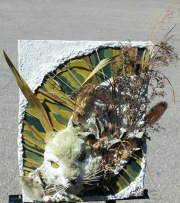 Rabbit in the Meadow