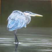 Heron in the Shallows