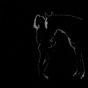 A Girl and Her Horse