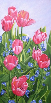 Tulips