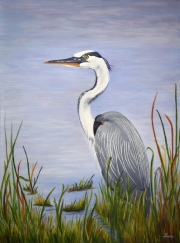 Calm Heron