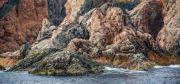 Cliffs of Newfoundland I