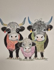 Longhorn Family -