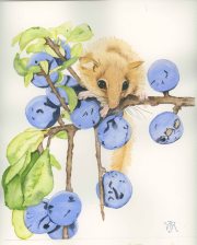 Berry Sweet Mouse