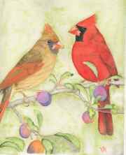 Cardinals
